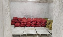 Ortahisar'da patates deposunda  araştırmalar sürüyor