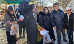 AK Kadınlar seçim çalışmalarını güle oynaya yapıyor