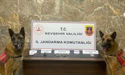 Villaya uyuşturucu baskını