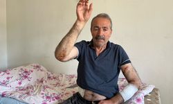 Acıgöl’de sokak köpekleri yaşlı adamı parçaladı