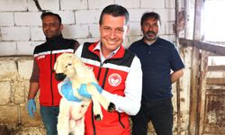 Tarım Müdürü Memiş küçükbaş hayvan yetiştirilen işletmeleri inceledi