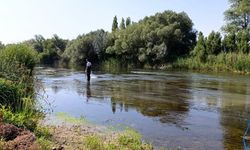 Özel İdarenin simillium ile mücadelesi sürüyor