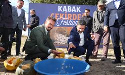 Kabak Çekirdeği Festivali yapıldı