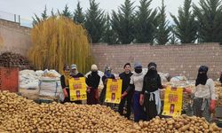 Patates işçileri jandarma tarafından bilgilendirildi