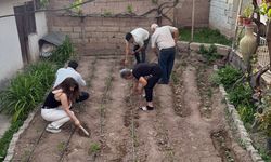 CHP'li gençler yaşlıların bahçe işlerine yardım etti