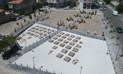 Apadana Arkeolojik Park Alanı açıldı