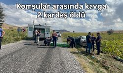 Komşuların kavgasında 2 kardeş öldü