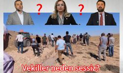 Milletvekilleri milletin sorununa neden sahip çıkmıyor?