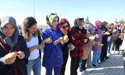 Nevşehir Belediyesi Patates Festivali başladı