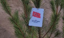 Fidanlar şehitler anısına toprakla buluştu