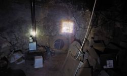 Define avına baskın