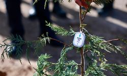 Fidanlar Toprakla Buluştu