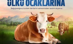 Ülkü Ocakları kurban derilerine talip