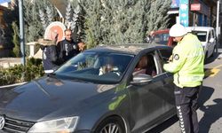 Asayiş  Şube Müdürlüğü çalışmaları