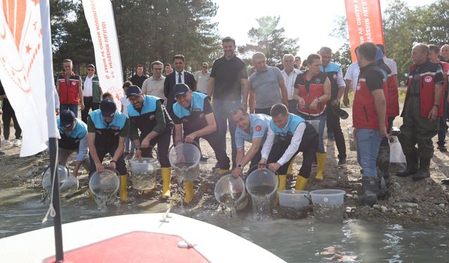 Damsa Barajı’na 350 bin yavru balık bırakıldı