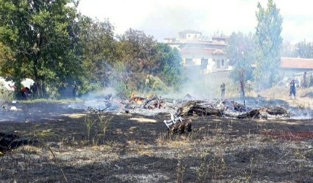 Sarıhıdır’da yangın bahçeyi küle çevirdi