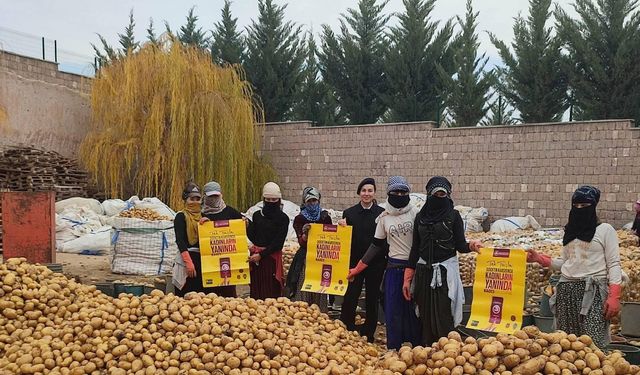 Patates işçileri jandarma tarafından bilgilendirildi