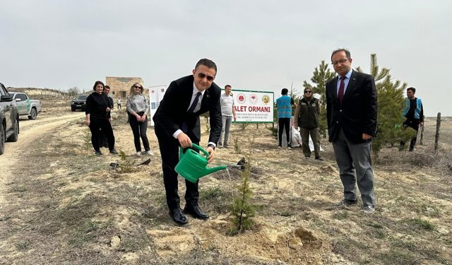 Avanos'ta fidanlar toprakla buluştu