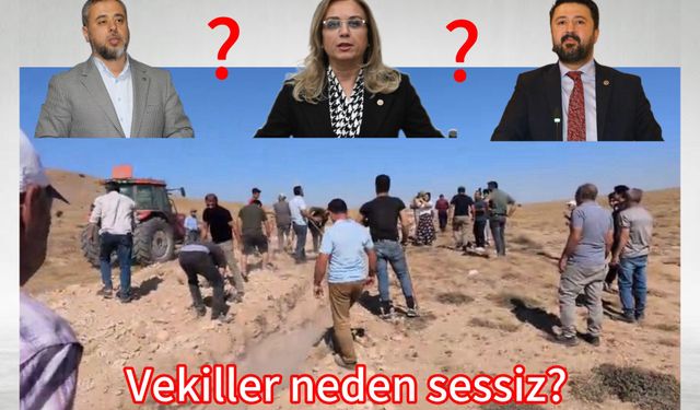 Milletvekilleri milletin sorununa neden sahip çıkmıyor?