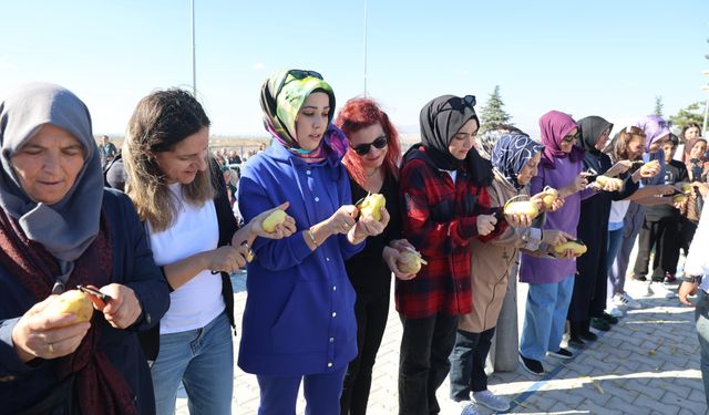Nevşehir Belediyesi Patates Festivali başladı