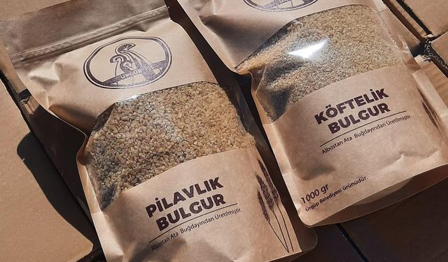 Ürgüp işi Albostan Ata Tohumu buğdayı raflarda yerini aldı