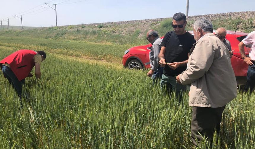 Kozaklı'nın köylerinde çiftçiler bilgilendiriliyor