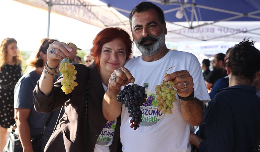 52. Uluslararası Ürgüp Bağ Bozumu Festivali başladı