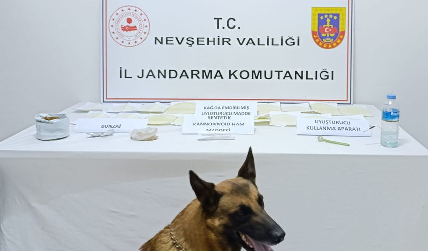 Gülşehir’de uyuşturucudan 1 kişi tutuklandı