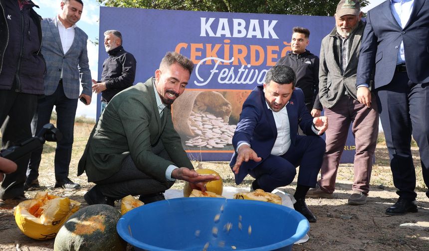 Kabak Çekirdeği Festivali yapıldı