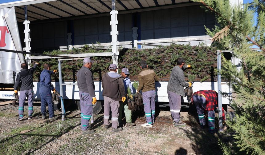 Nevşehir'de ağaçlandırma seferberliği