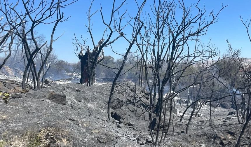 Avanos'ta çıkan yangın söndürüldü