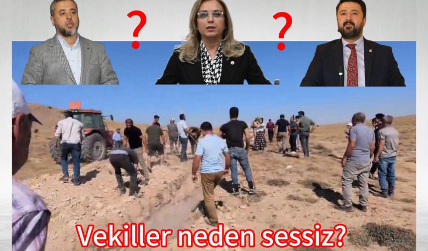 Milletvekilleri milletin sorununa neden sahip çıkmıyor?