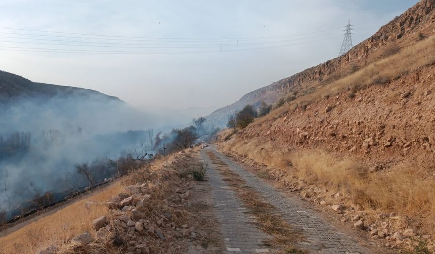 Ürgüp'te mangal yangına sebep oldu