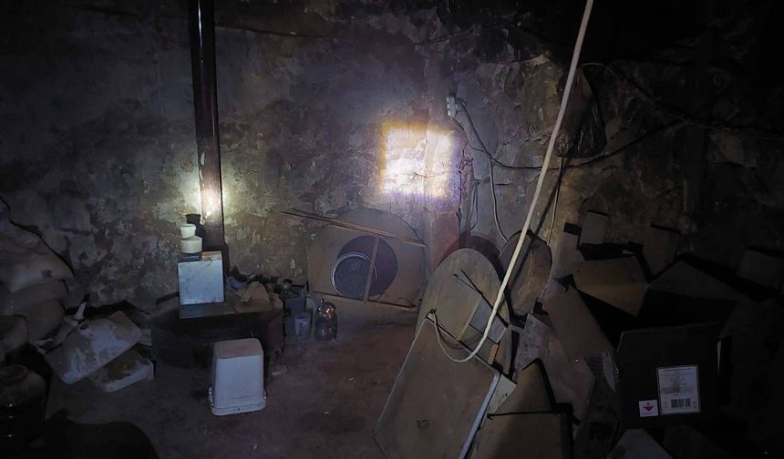 Define avına baskın