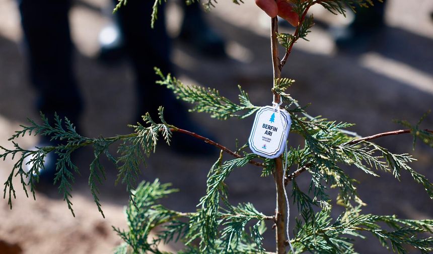 Fidanlar Toprakla Buluştu